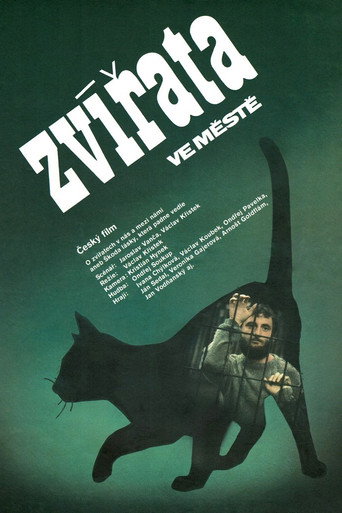 Póster de Zvířata ve městě