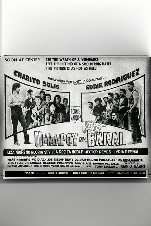 Póster de Umaapoy na Bakal