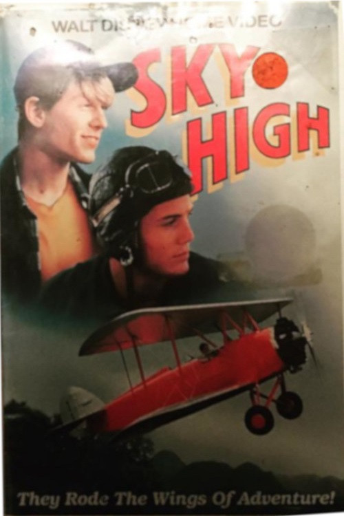 Póster de Sky High