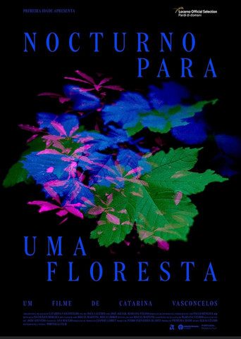 Póster de Nocturno Para Uma Floresta