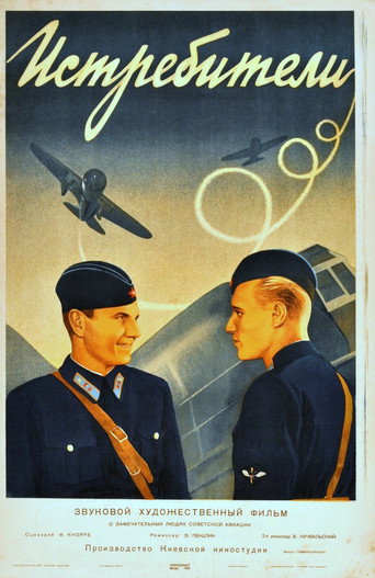 Póster de Fighters