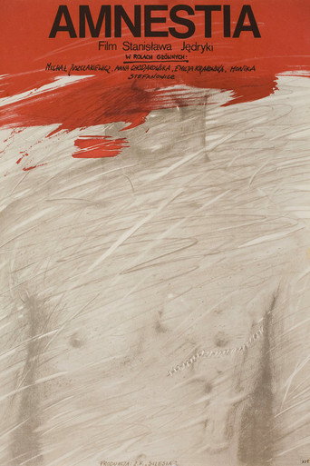 Póster de Amnestia