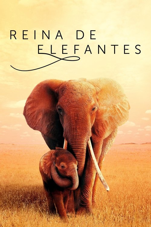 Póster de The Elephant Queen