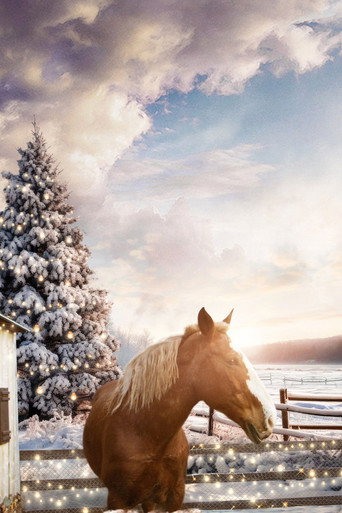 Póster de December Horses