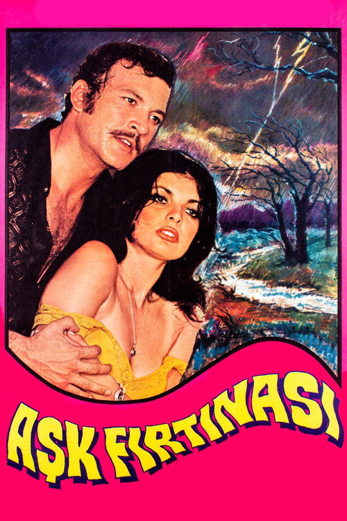Póster de Aşk Fırtınası