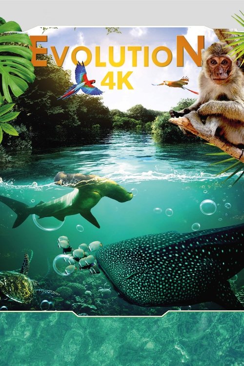 Póster de Evolution 4K