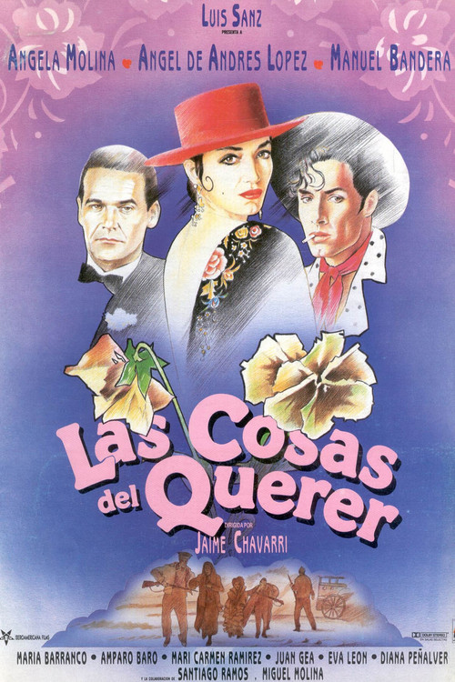 Póster de Las cosas del querer