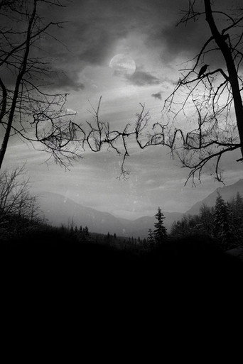 Póster de Dunderland