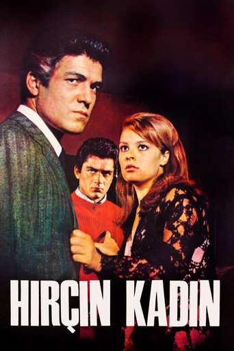 Póster de Hırçın Kadın