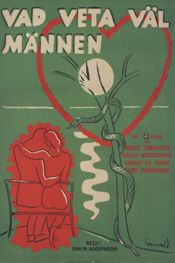 Póster de Vad veta väl männen?