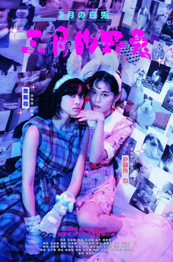 Póster de 三月的野兔