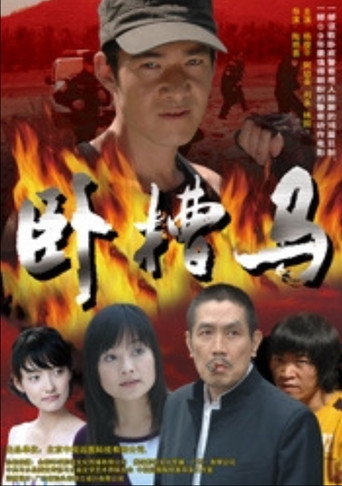 Póster de 卧槽马