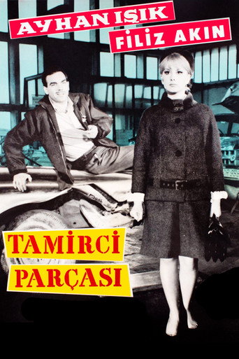 Póster de Tamirci Parçası