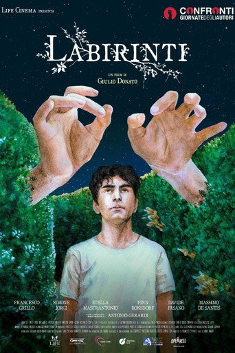 Póster de Labirinti