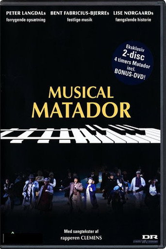 Póster de Matador Musical