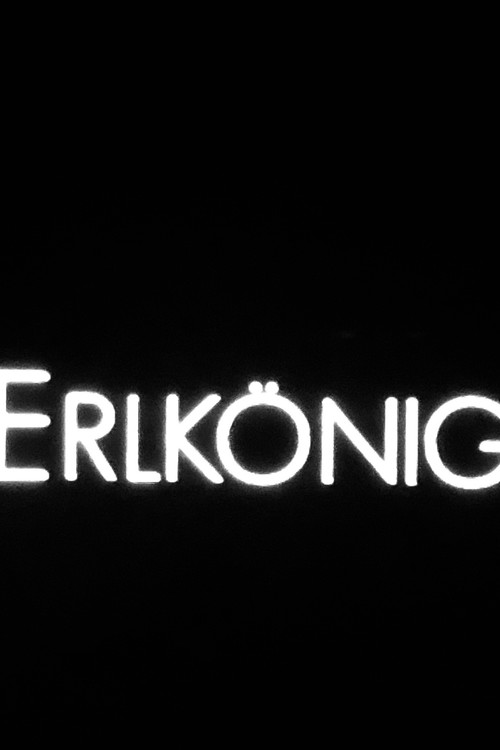 Póster de Erlkönig