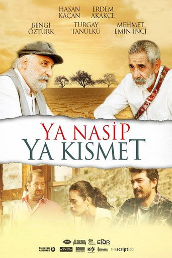 Póster de Ya Nasip Ya Kısmet