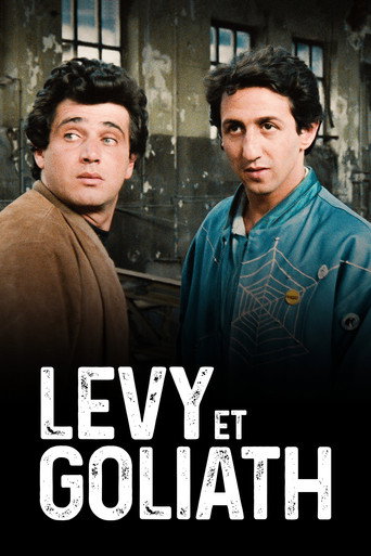 Póster de Lévy et Goliath