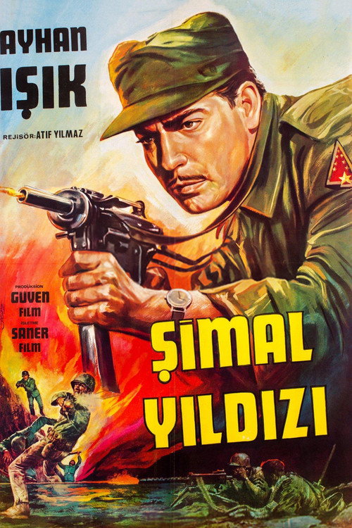Póster de Şimal Yıldızı