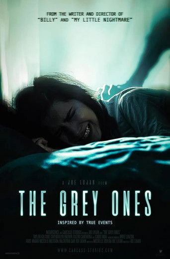 Póster de The Grey Ones