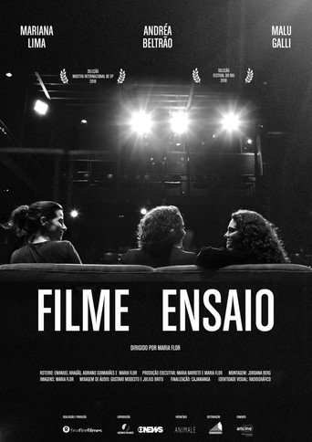 Póster de Filme Ensaio