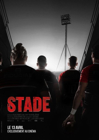 Póster de Le stade
