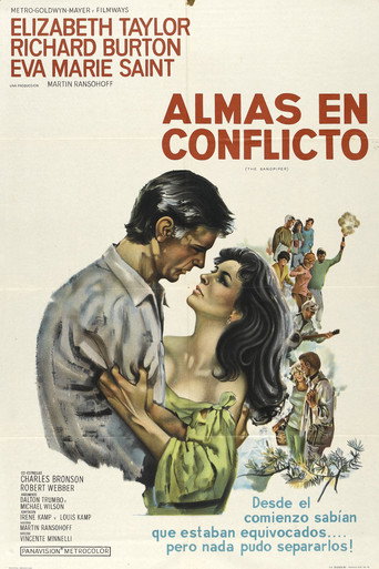 Póster de The Sandpiper