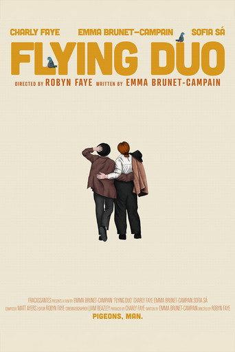 Póster de Flying Duo