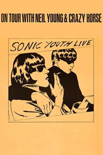 Póster de Sonic Youth: Live in 1991