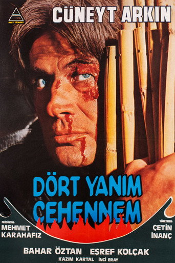 Póster de Dört Yanım Cehennem