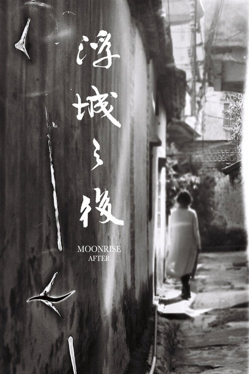 Póster de 浮城之後