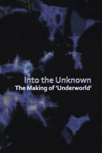 Póster de Into the Unknown