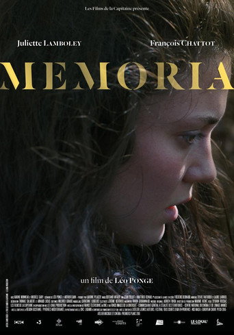 Póster de Memoria
