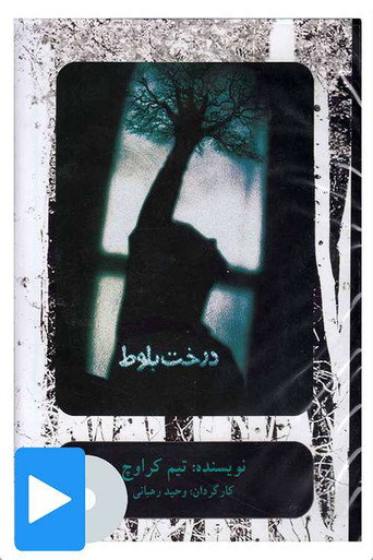 Póster de درخت بلوط