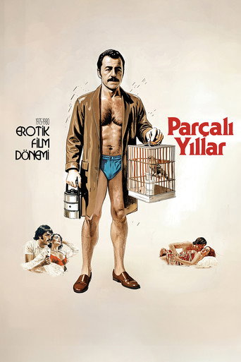 Póster de Parçalı Yıllar