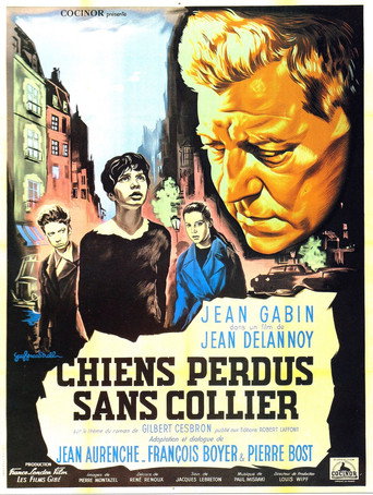 Póster de Chiens perdus sans collier