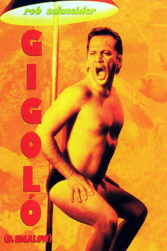 Póster de Gigoló por accidente