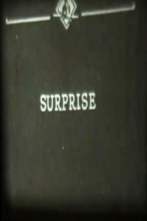 Póster de Surprise