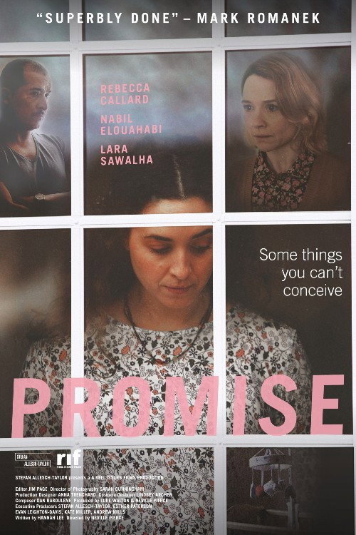 Póster de Promise