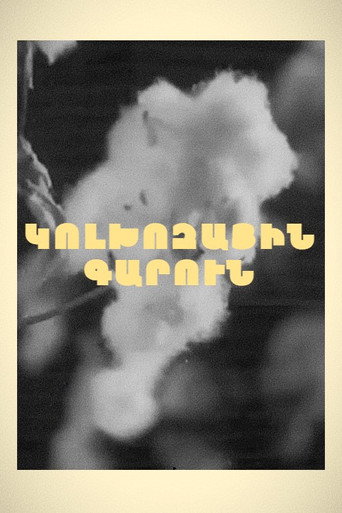 Póster de Կոլխոզային գարուն