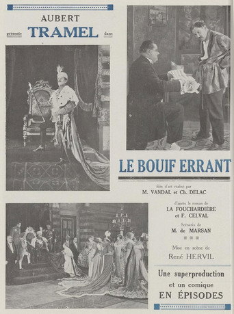 Póster de Le Bouif errant