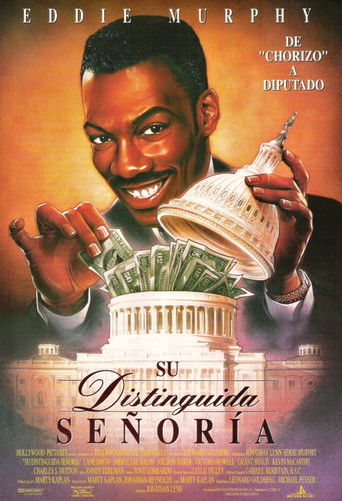 Póster de De estafador a senador