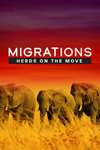 Póster de Migrations: Herds on the Move