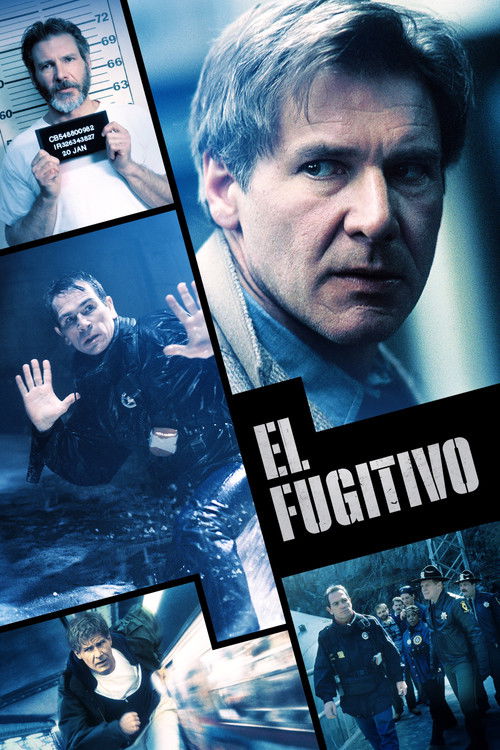 Póster de El fugitivo