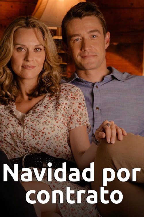 Póster de The Christmas Contract