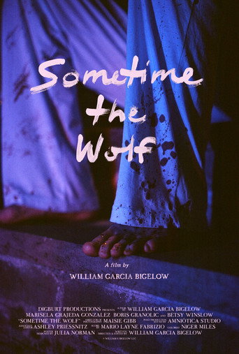 Póster de Sometime the Wolf