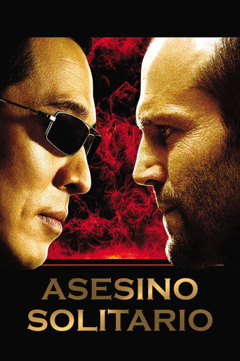Póster de Asesino solitario