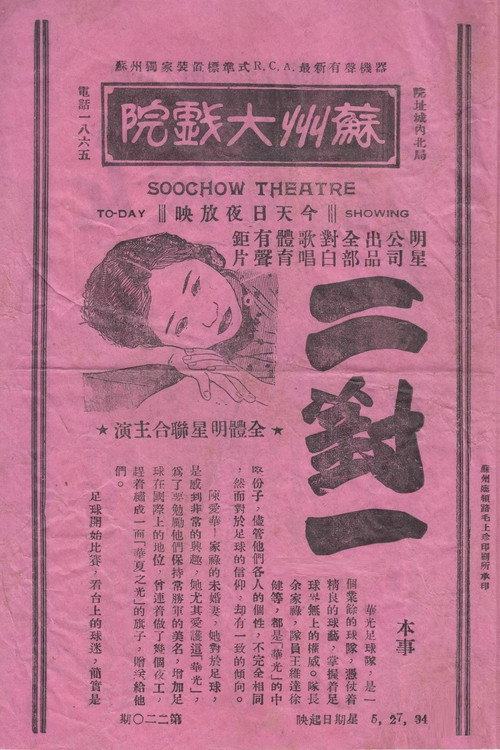 Póster de 二对一