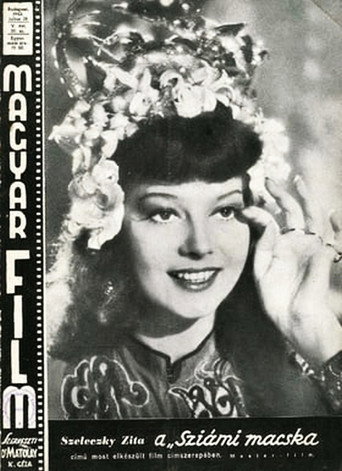 Póster de Sziámi macska