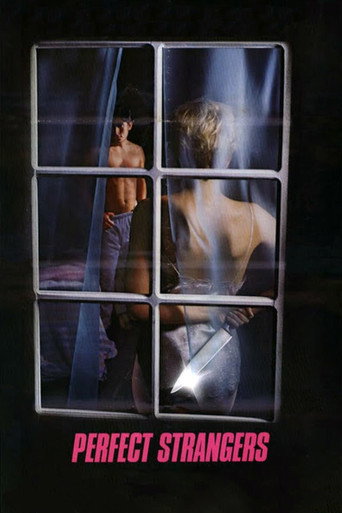 Póster de Perfect Strangers